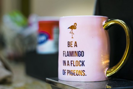 Livcom_Flamingo_Stand_Out